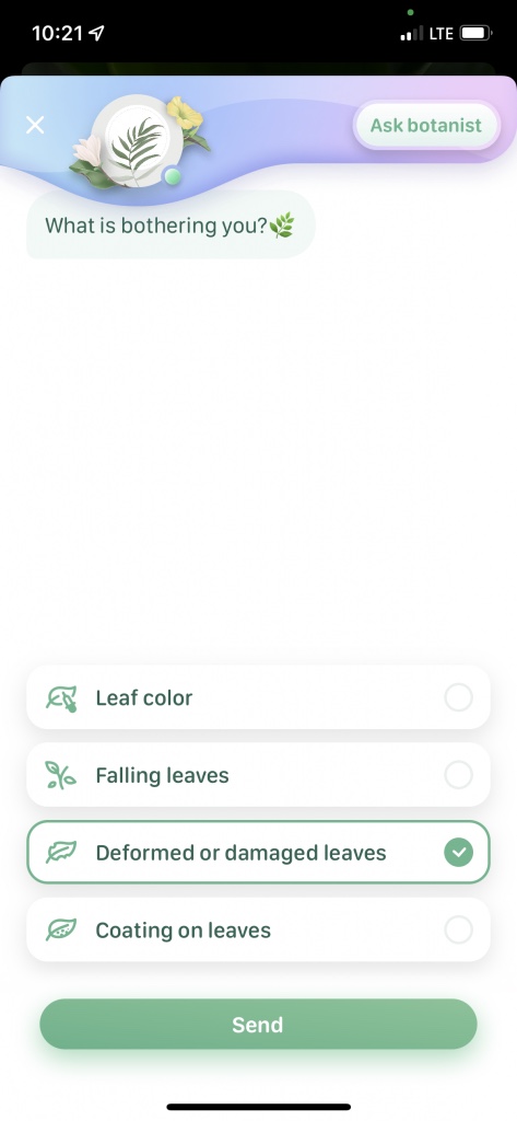 blossom app UX behavioral design