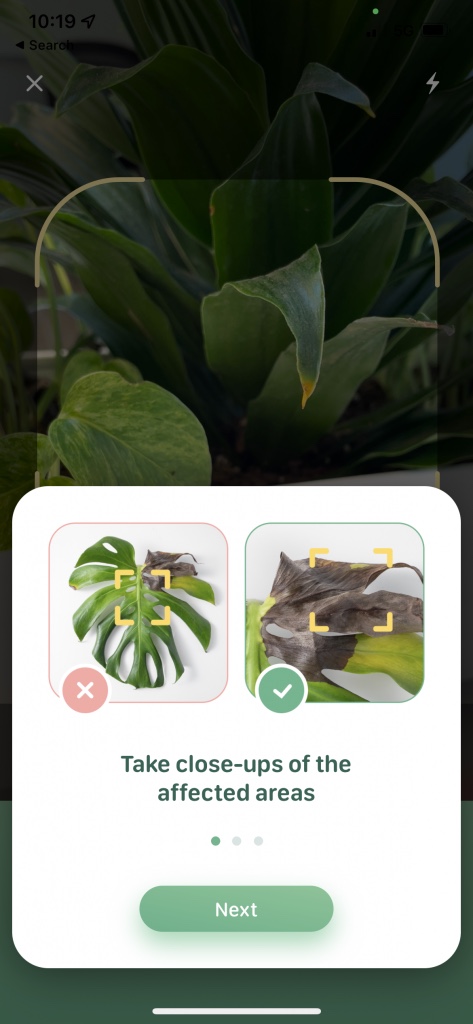 Behavioral design Blossom app