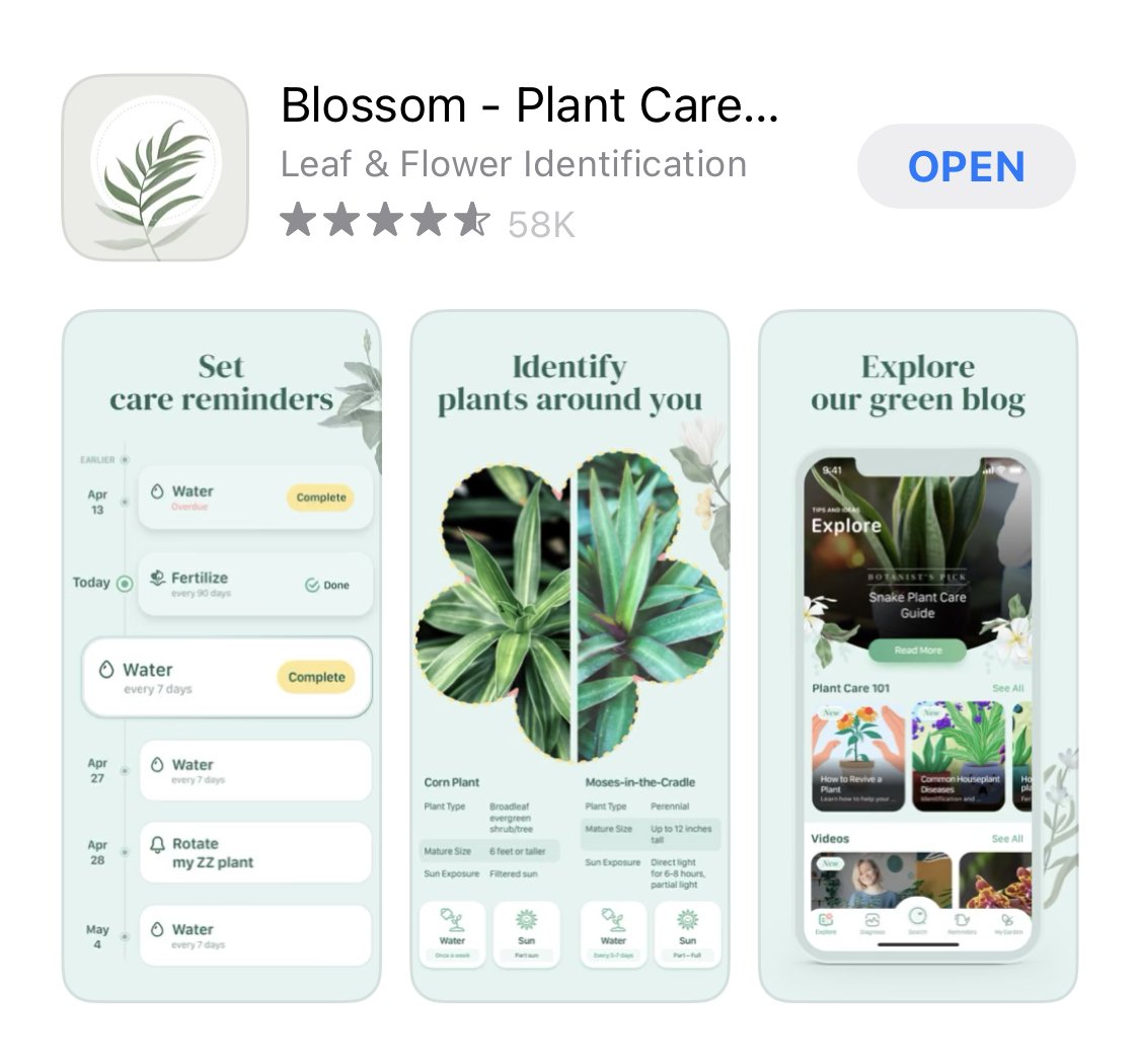 How Blossom App Used Behavioral Design to Become One of the Best Plant Care Apps