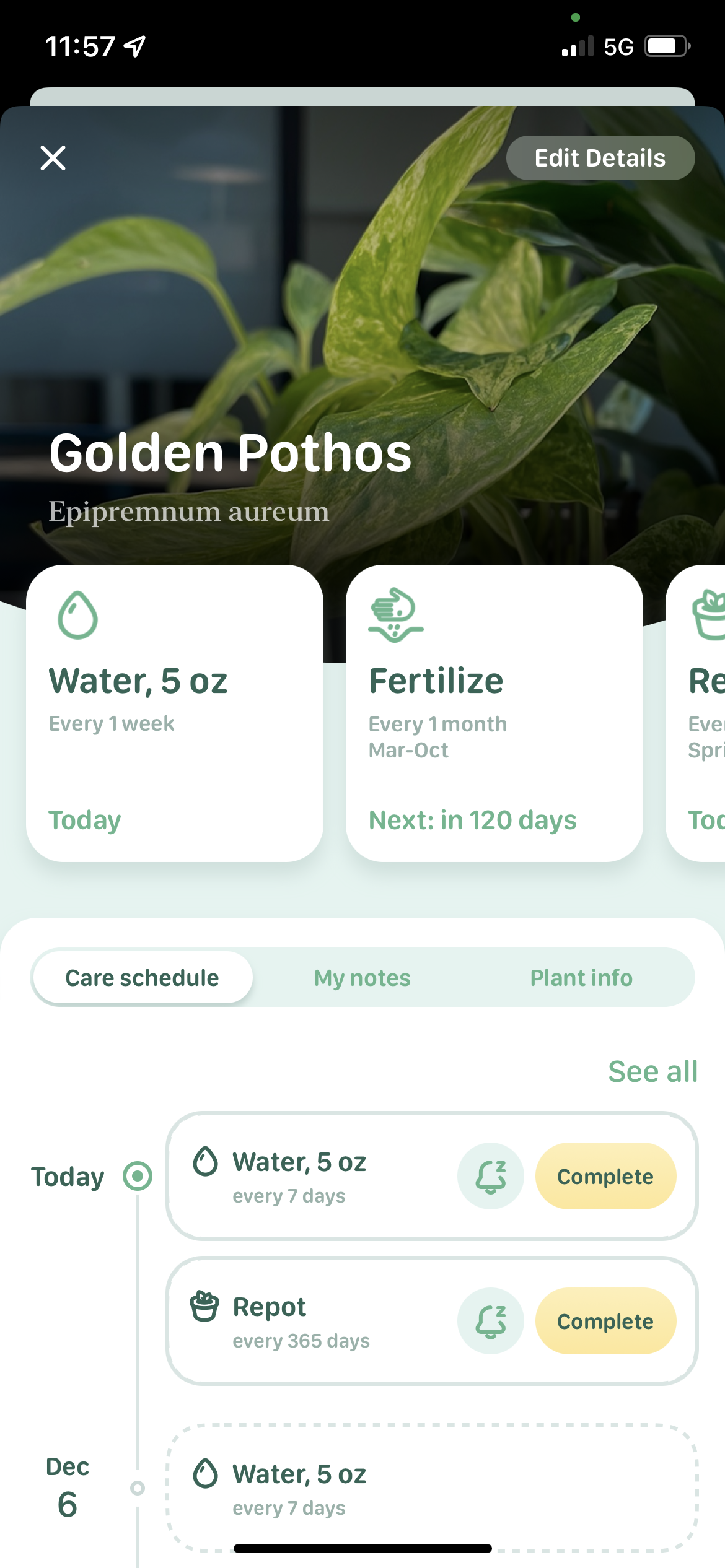 Blossom App Used Behavioral Design to a Top Plant Care App